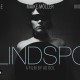 BLINDSPOT (2008) de Ad Bol